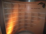 Zdj�cie nr 483